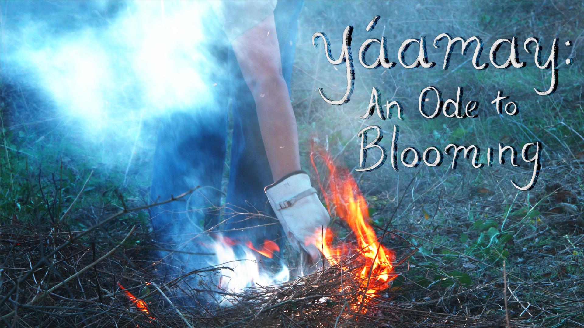 Yáamay: An Ode to Blooming Yáamay: An Ode to Blooming