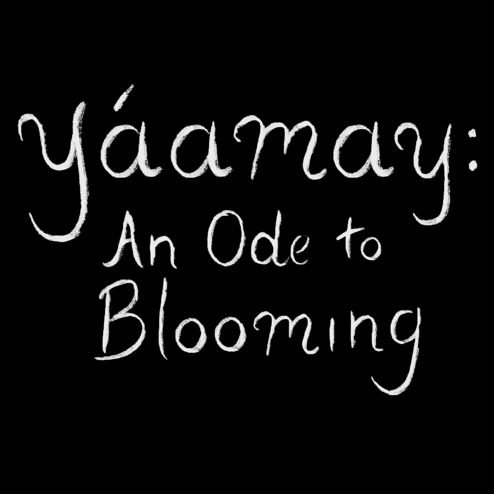 Yáamay: An Ode to Blooming Yáamay: An Ode to Blooming