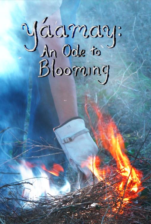 Yáamay: An Ode to Blooming Yáamay: An Ode to Blooming