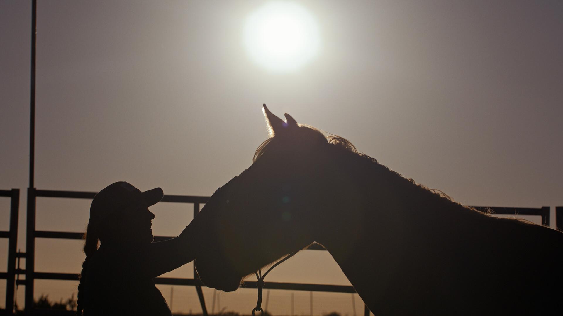 Beyond the Herd