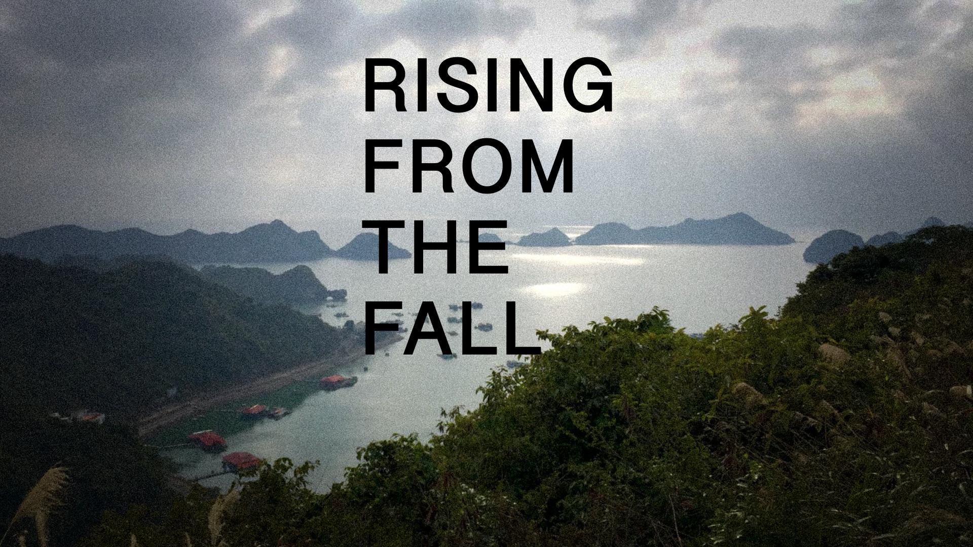 Rising From The Fall
