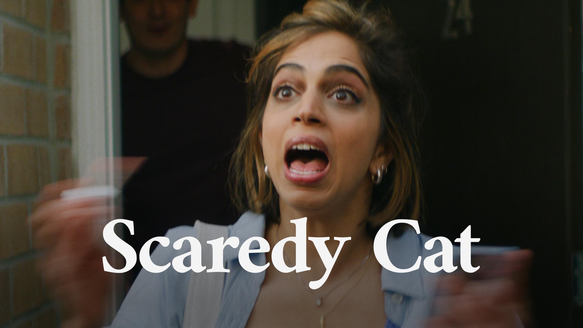 Scaredy Cat