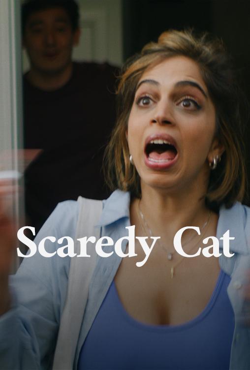 Scaredy Cat