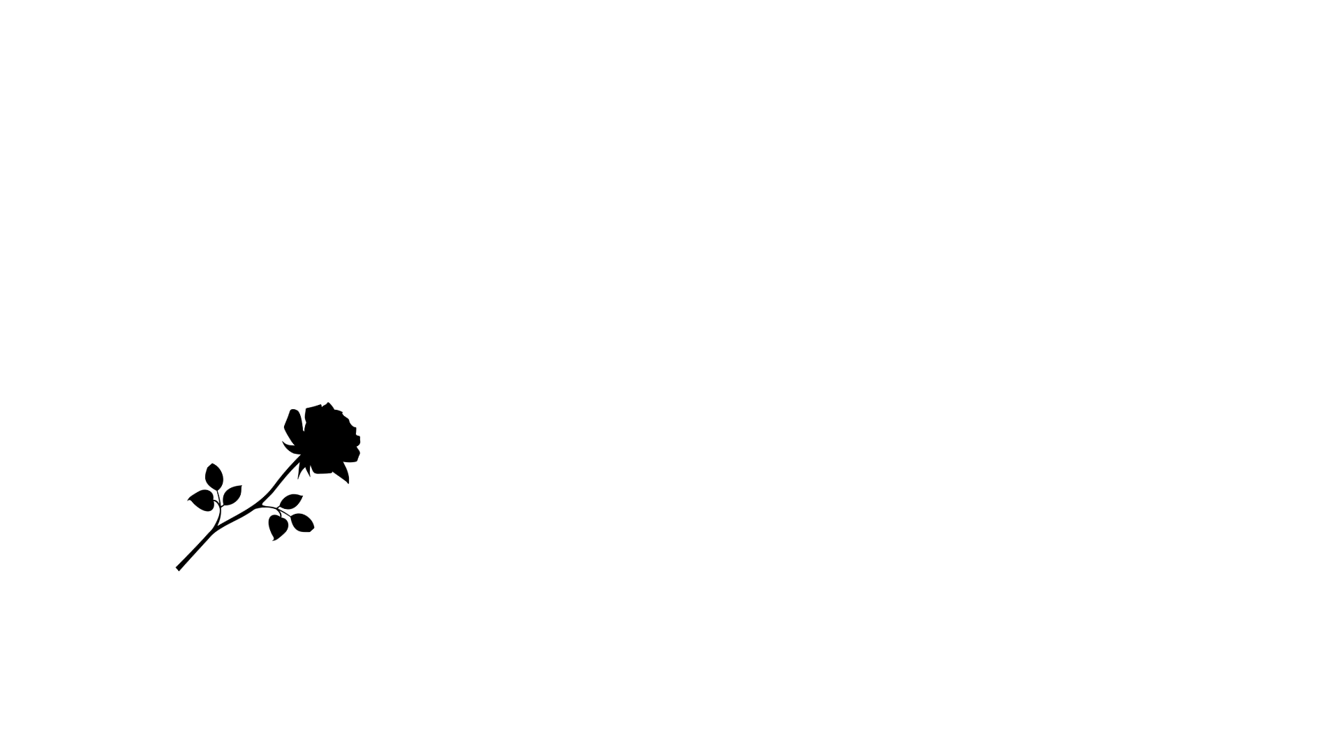 BLACK ROSE