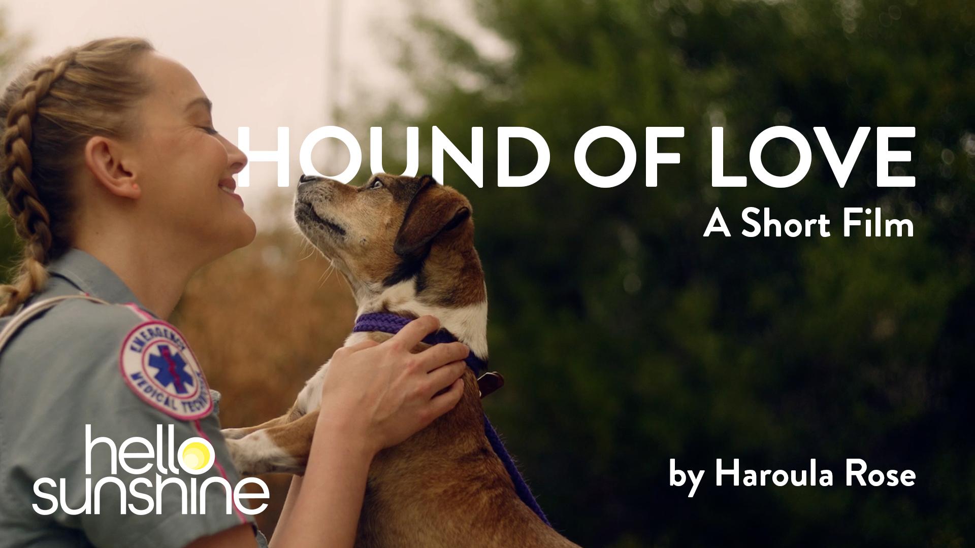 Hound of Love