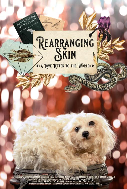 Rearranging Skin: A Love Letter to the World
