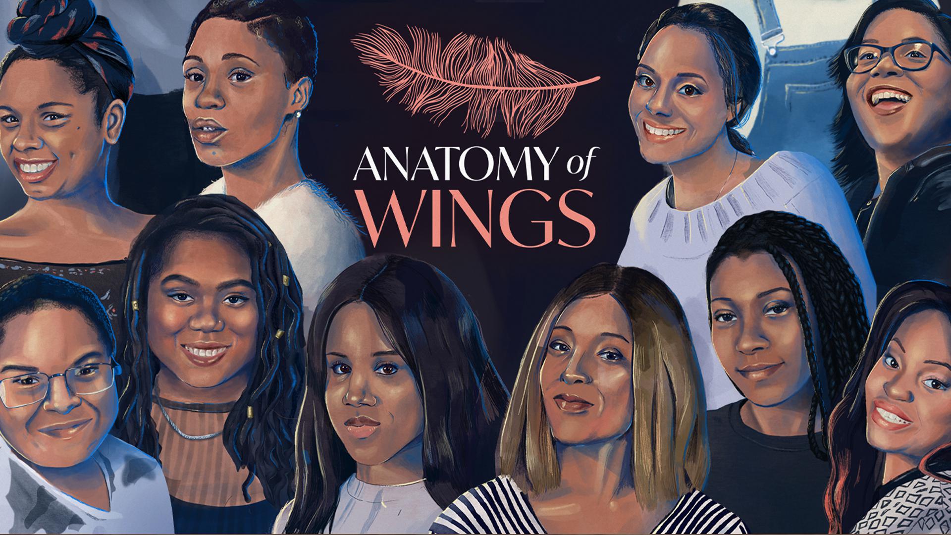 Anatomy of Wings 